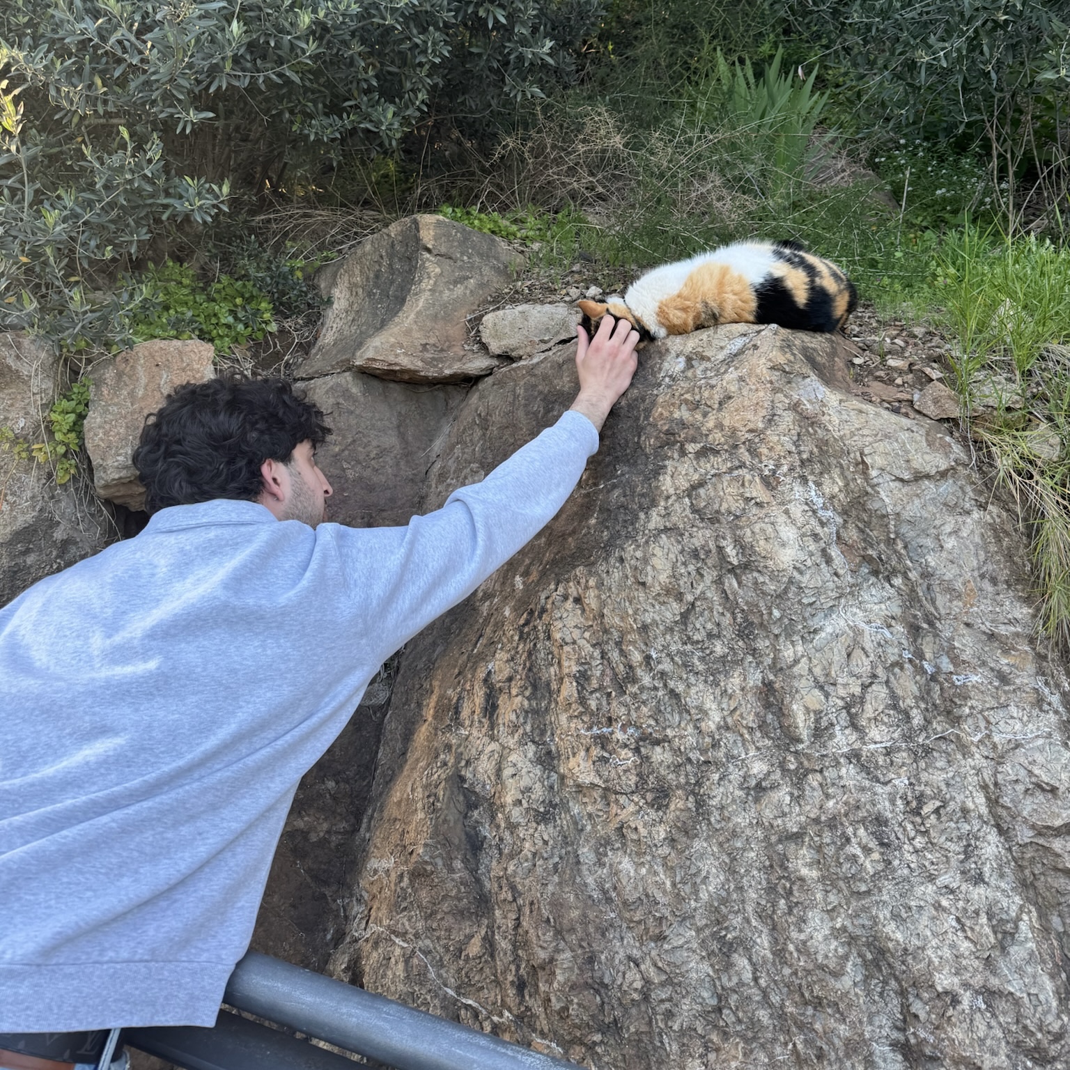 Mateen petting a cat on a stone wall